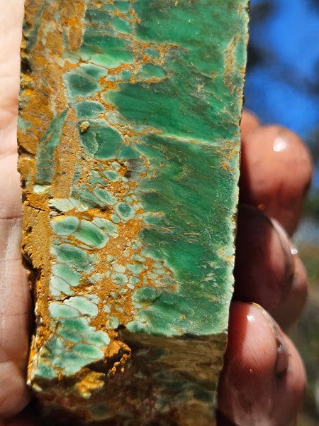Variscite rough. VR609