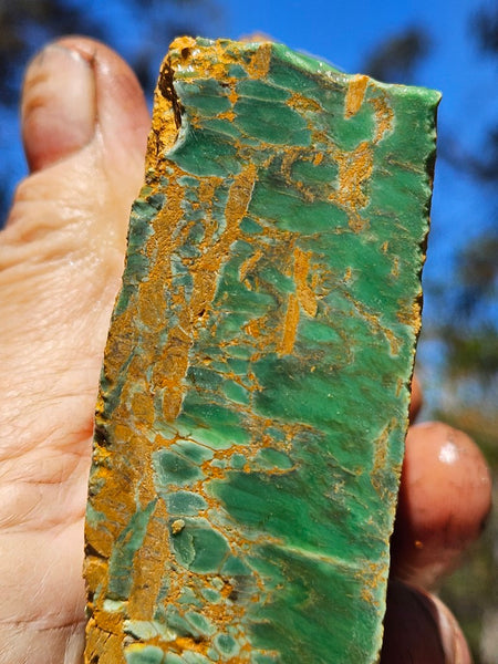 Variscite rough. VR609