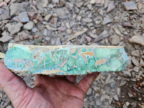 Variscite rough. VR608
