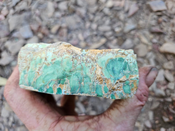 Variscite rough. VR608