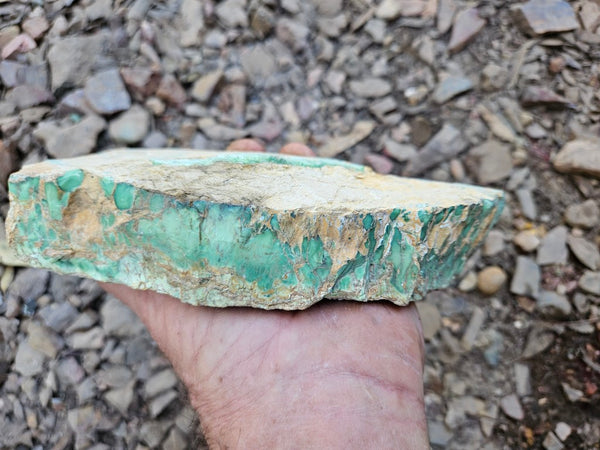 Variscite rough. VR608