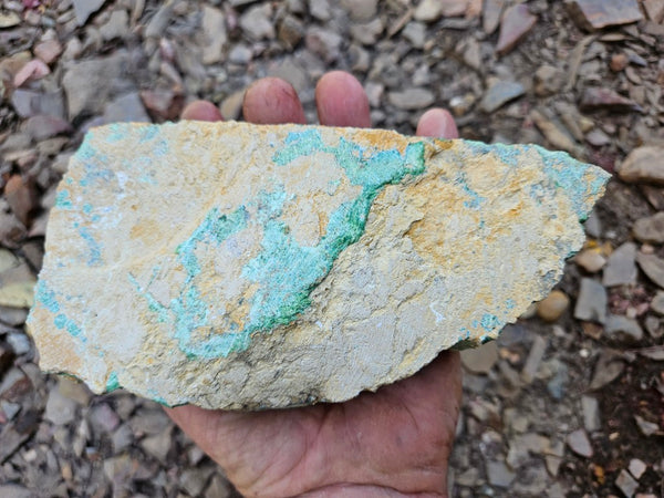 Variscite rough. VR608