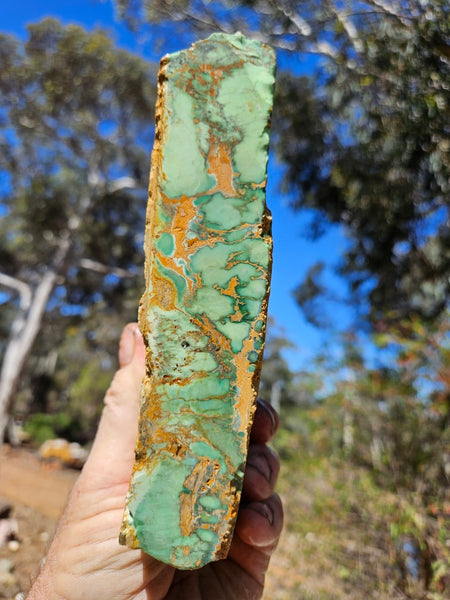 Variscite rough. VR608