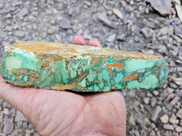Variscite rough. VR608
