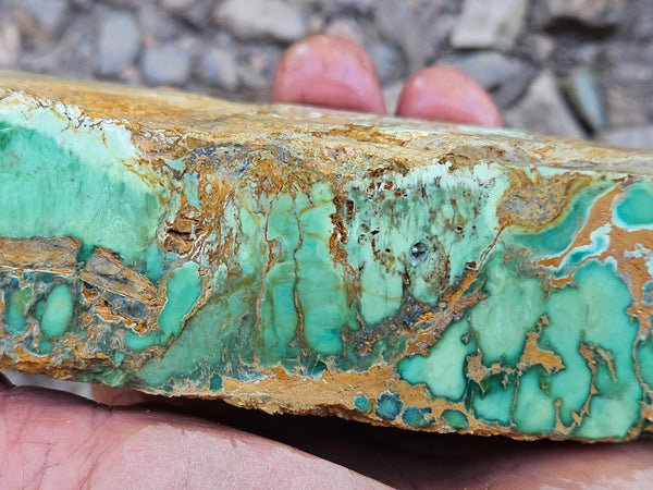 Variscite rough. VR608