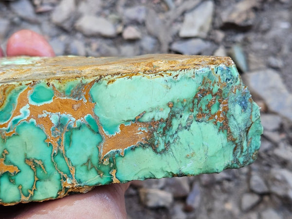 Variscite rough. VR608