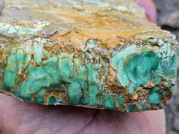 Variscite rough. VR608