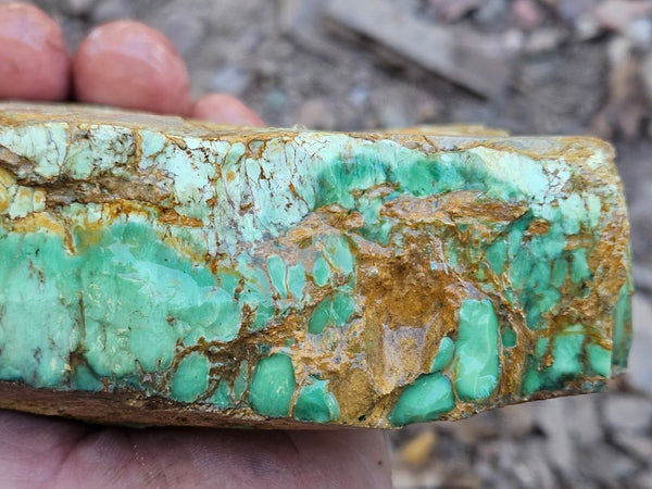 Variscite rough. VR608