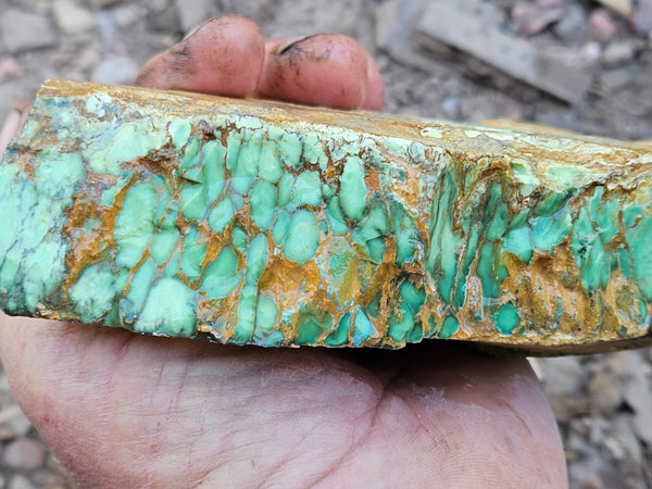 Variscite rough. VR608