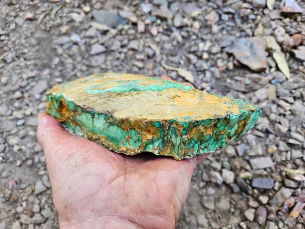 Variscite rough. VR608