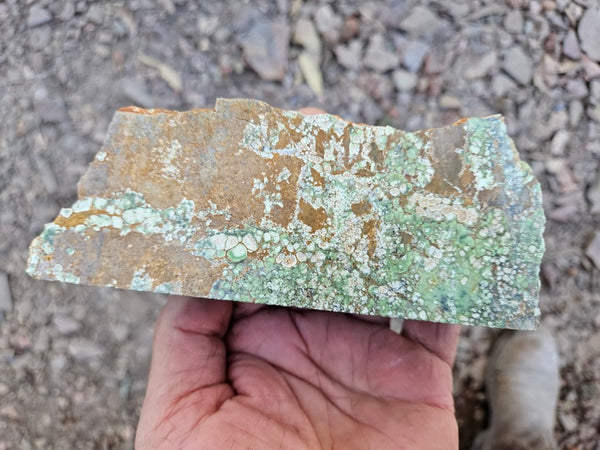 Variscite rough. VR607