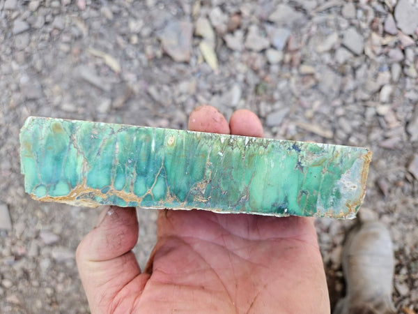 Variscite rough. VR607