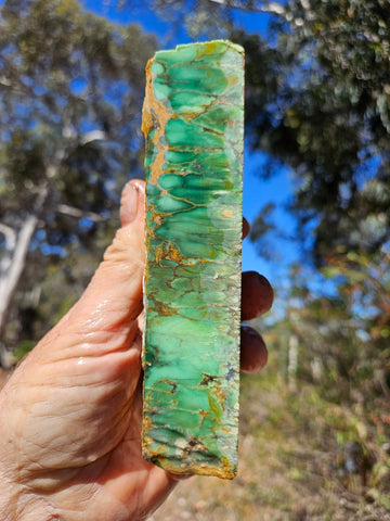 Variscite rough. VR607