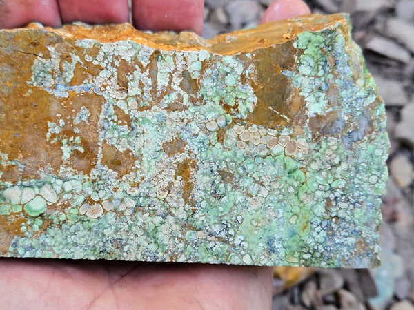 Variscite rough. VR607
