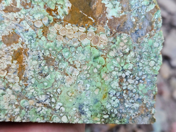 Variscite rough. VR607