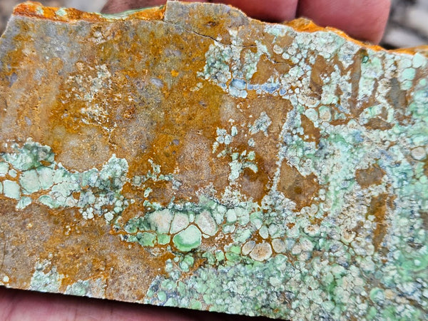 Variscite rough. VR607