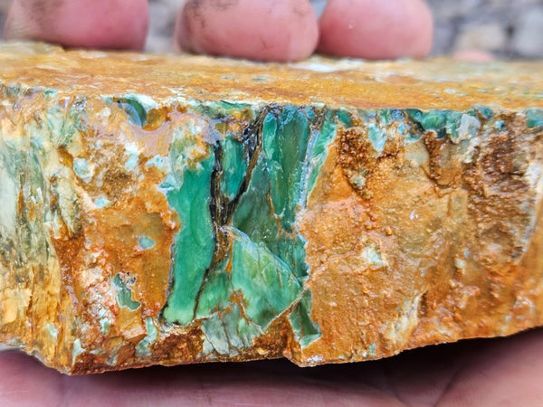 Variscite rough. VR607
