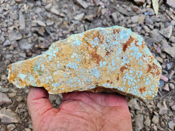 Variscite rough. VR606