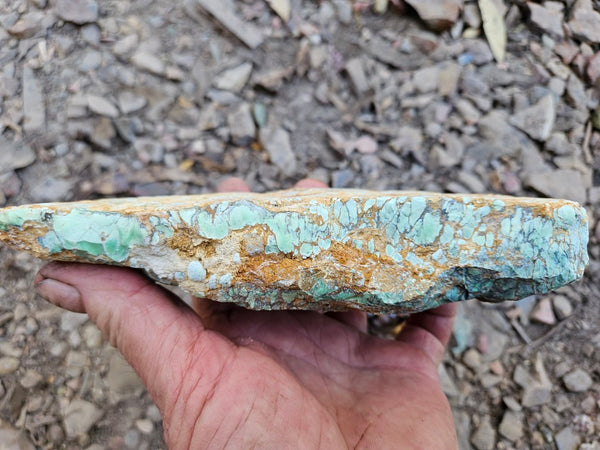 Variscite rough. VR606