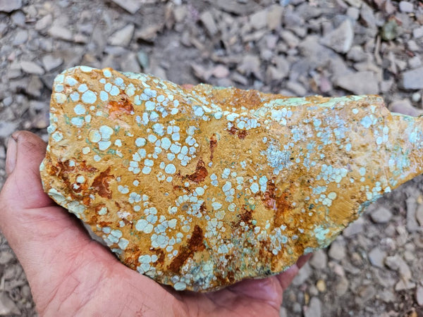 Variscite rough. VR606