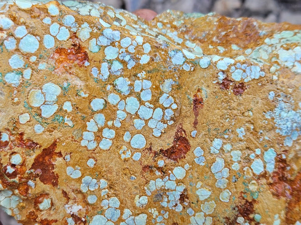 Variscite rough. VR606