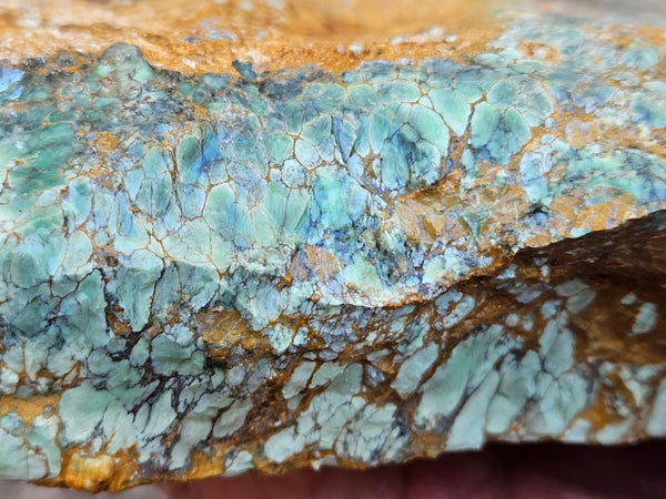 Variscite rough. VR606