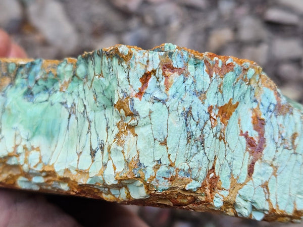 Variscite rough. VR606