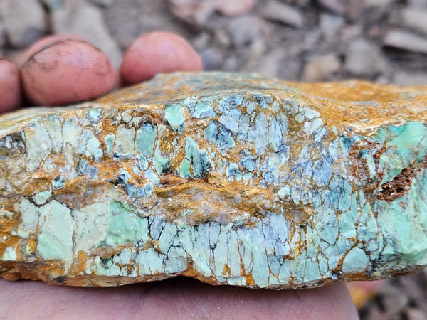 Variscite rough. VR606