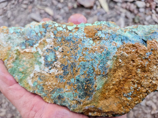 Variscite rough. VR606