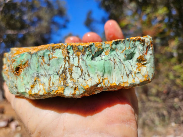 Variscite rough. VR606