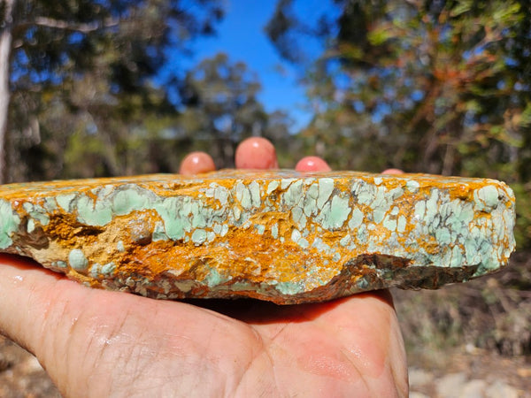 Variscite rough. VR606