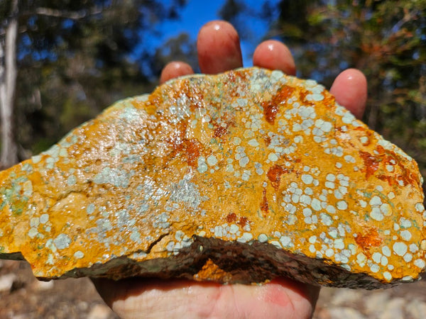 Variscite rough. VR606