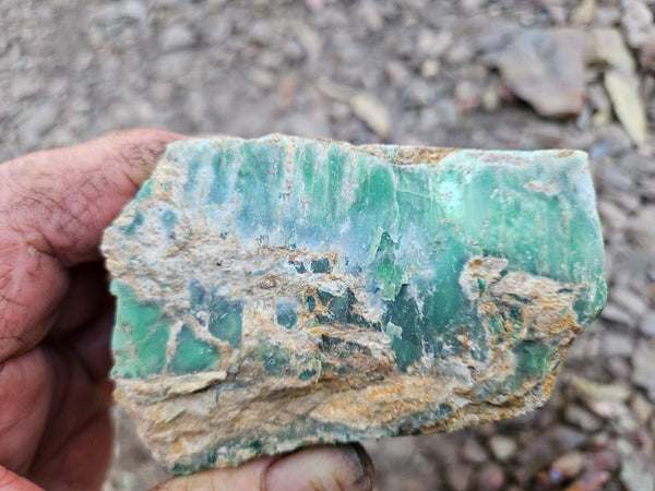 Variscite rough. VR605