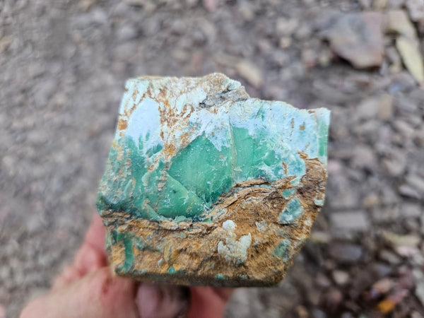 Variscite rough. VR605