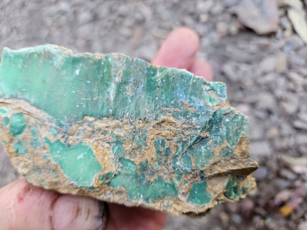 Variscite rough. VR605