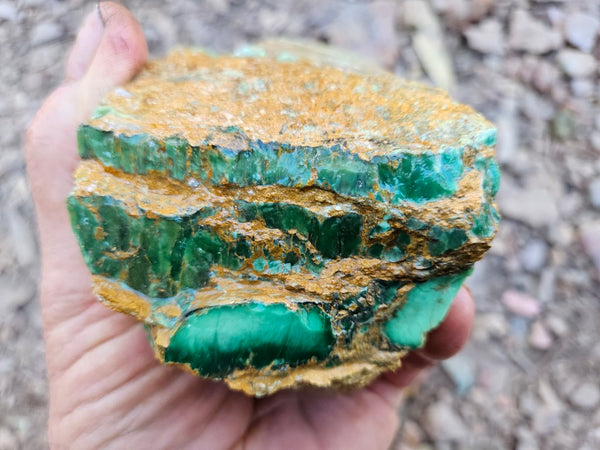 Variscite rough. VR605