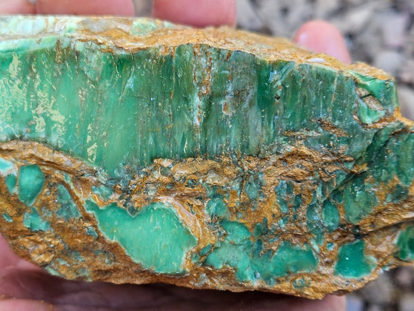 Variscite rough. VR605