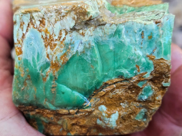 Variscite rough. VR605