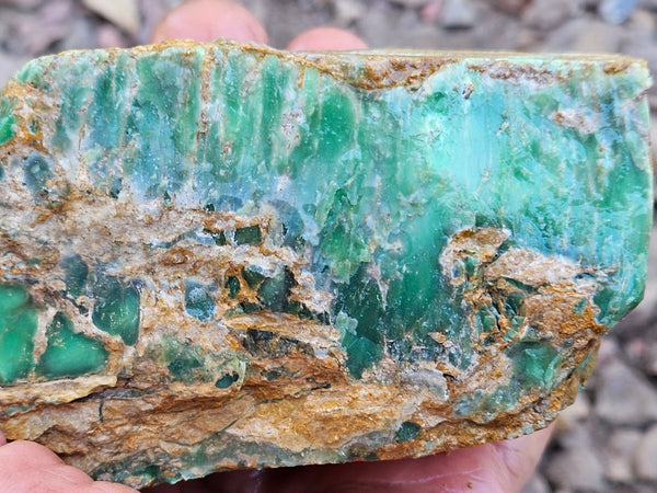 Variscite rough. VR605