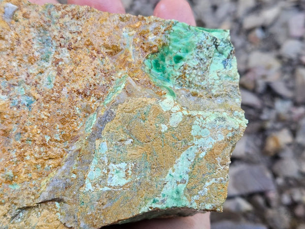 Variscite rough. VR605