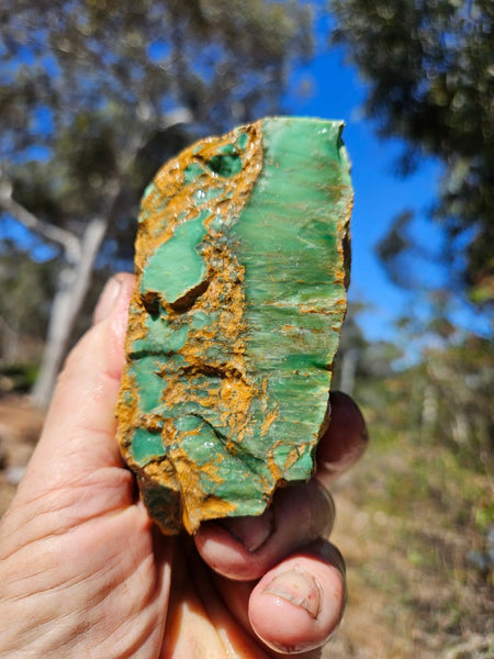 Variscite rough. VR605