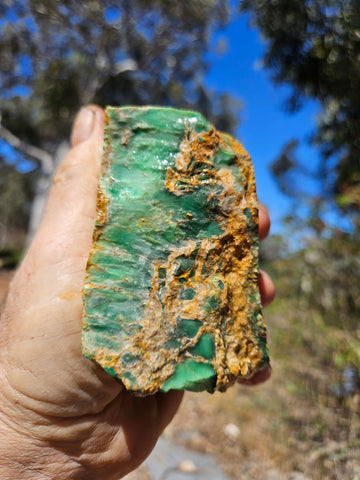 Variscite rough. VR605