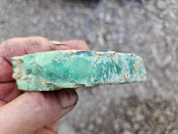 Variscite rough. VR604