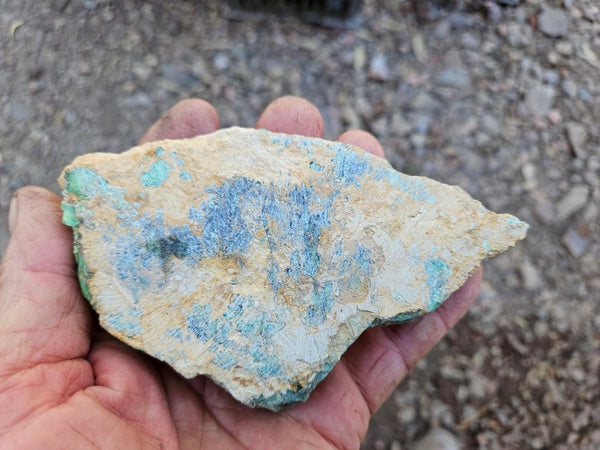 Variscite rough. VR604