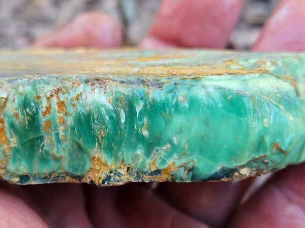 Variscite rough. VR604