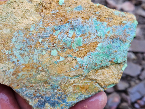 Variscite rough. VR604