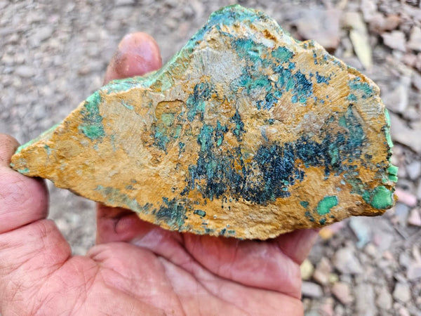 Variscite rough. VR604