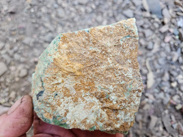 Variscite rough. VR603