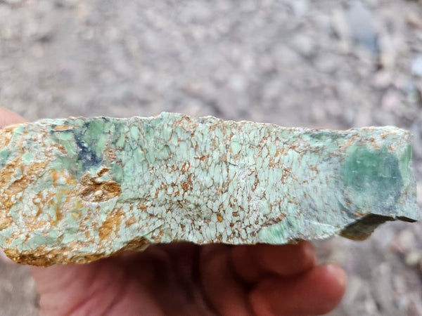 Variscite rough. VR603