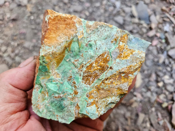 Variscite rough. VR603